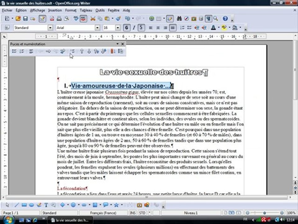 Traitement Texte 2.2 "Numérotation automatique"