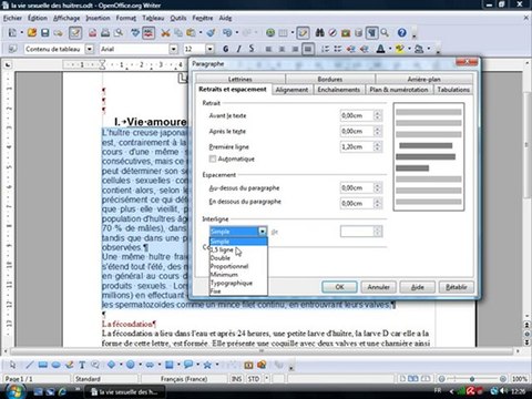 Traitement Texte 2.4 Mise en forme de paragraphe