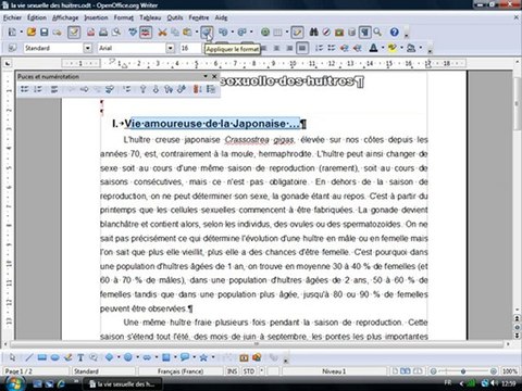 Traitement Texte 2.5 Reproduire la mise en forme