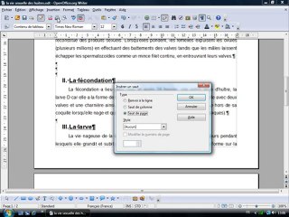 Traitement Texte 2.6 "Le saut de page"