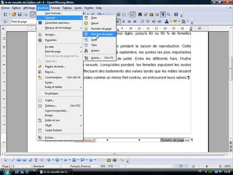 Traitement Texte 2.8 Numérotation des pages