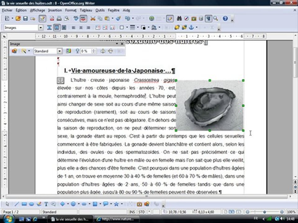 Traitement Texte 2.10 "Insérer des images"