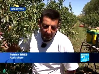 Reporters : Les vergers disparus