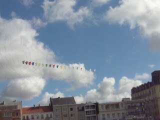 Festival du cerf volant démonstration dieppe 2010