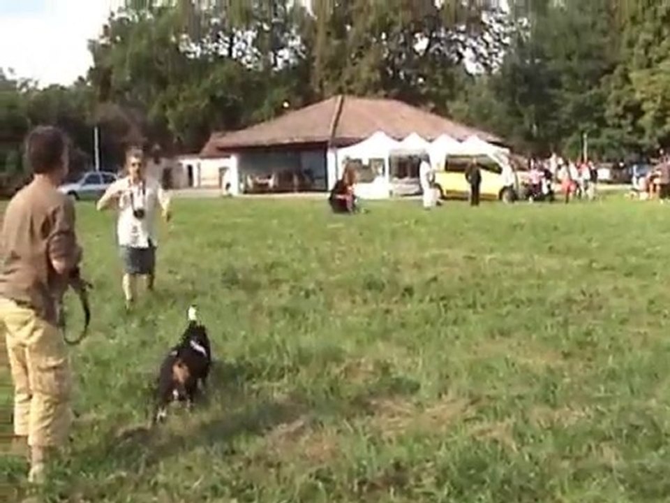 Rencontre un coeur sous l'oreille 29-08-2010 3éme partie