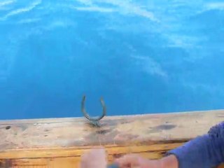 Bu Mercan   Başka  Mercan