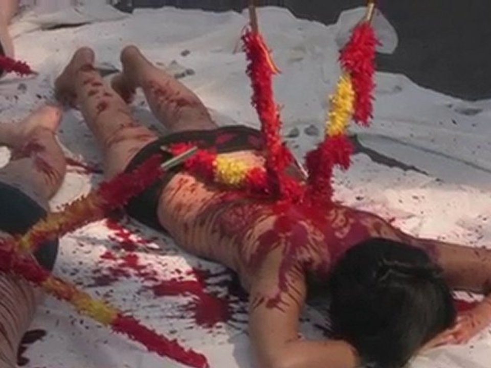 Bullfighting abolition 12 sept 2010