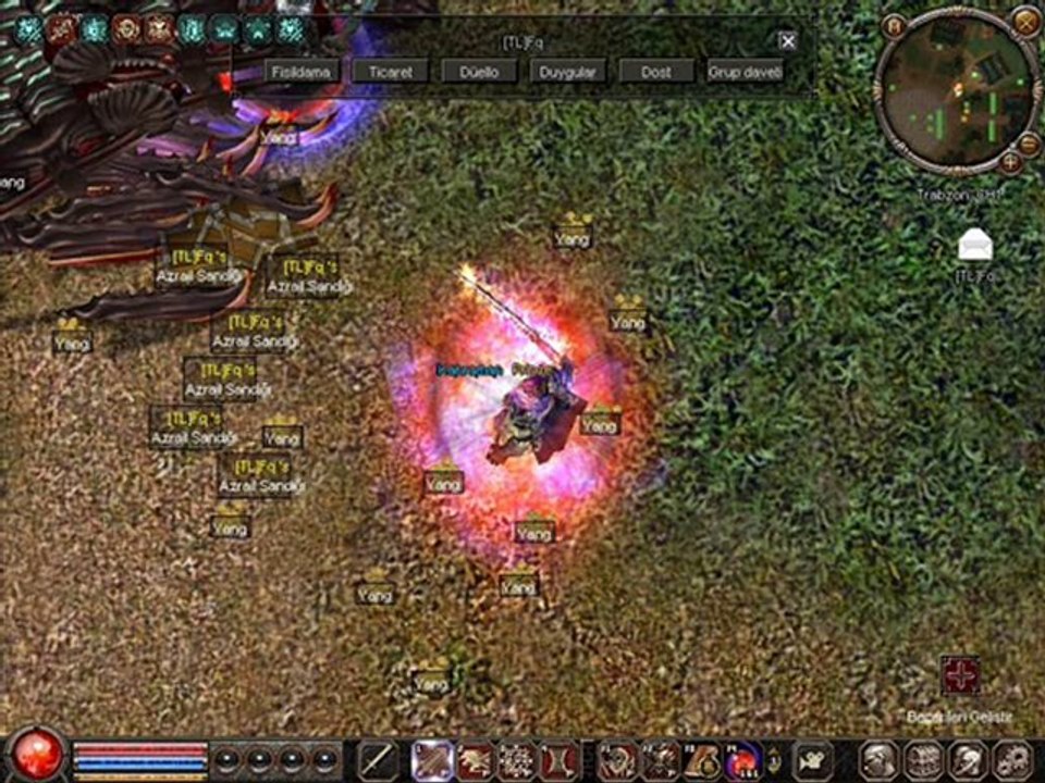 metin2