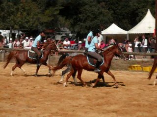 La journée du cheval