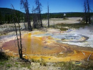 Yellowstone 1 - Norris Geyser Basin