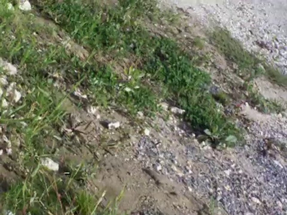 Séance monté_11sept 2010