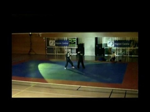 nuit des art martiaux 2010 (kali krav maga )