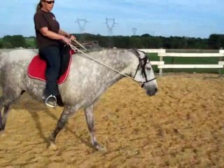 Galop monté à droite