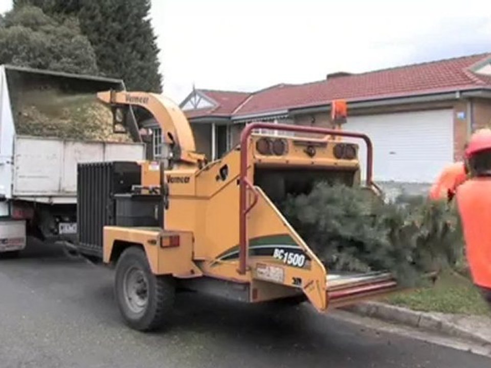Tree Felling Mulgrave Just Mulching VIC