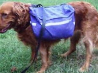 Dog Backpacks