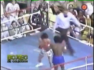 BOXEO COLECCION S.V. PALMA 01