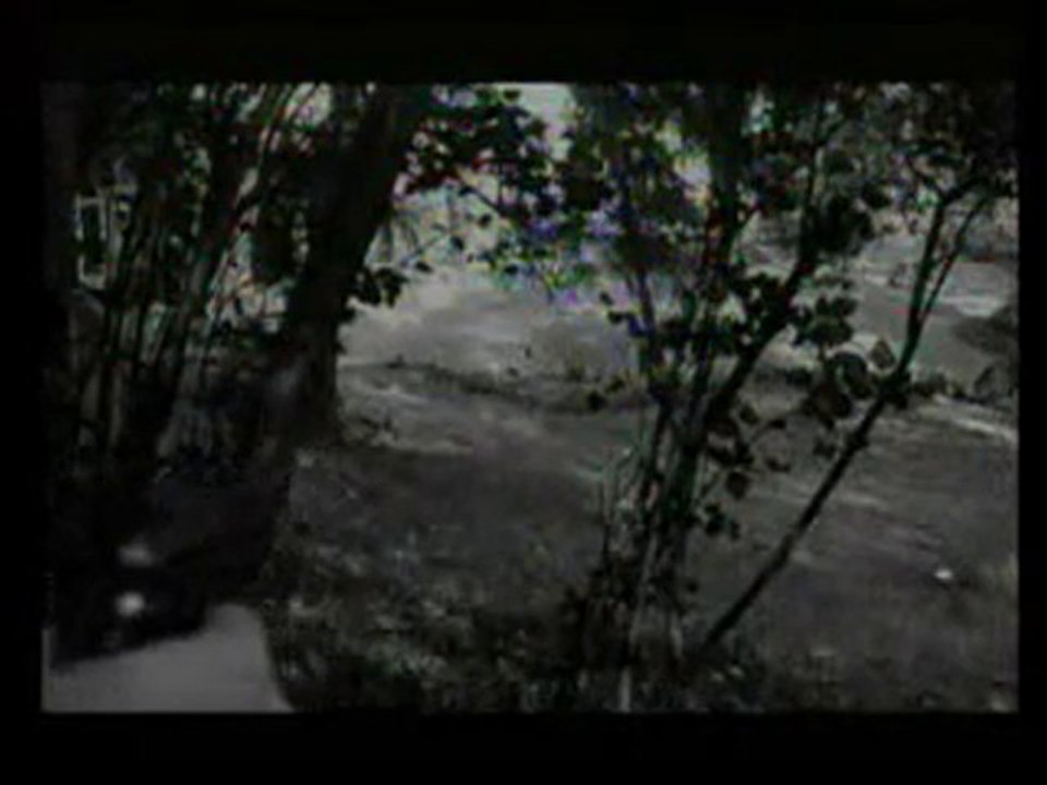 Le tigre aime la chair fraîche - Claude Chabrol - 1964