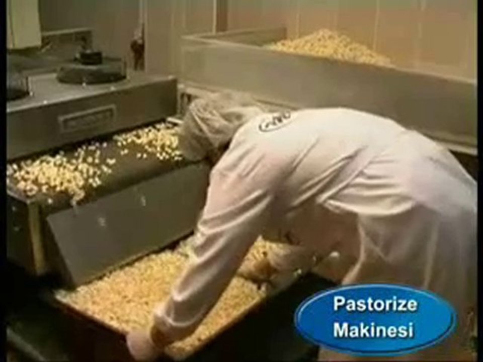 Pastorize makinesi