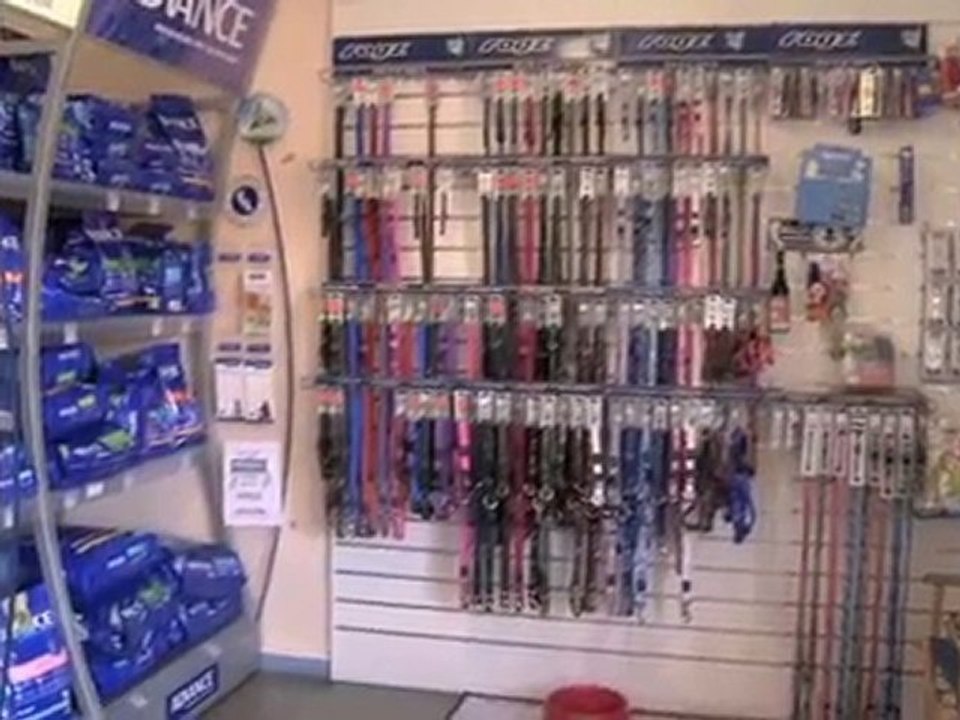 Vet Reynella Old Reynella Veterinary Clinic SA