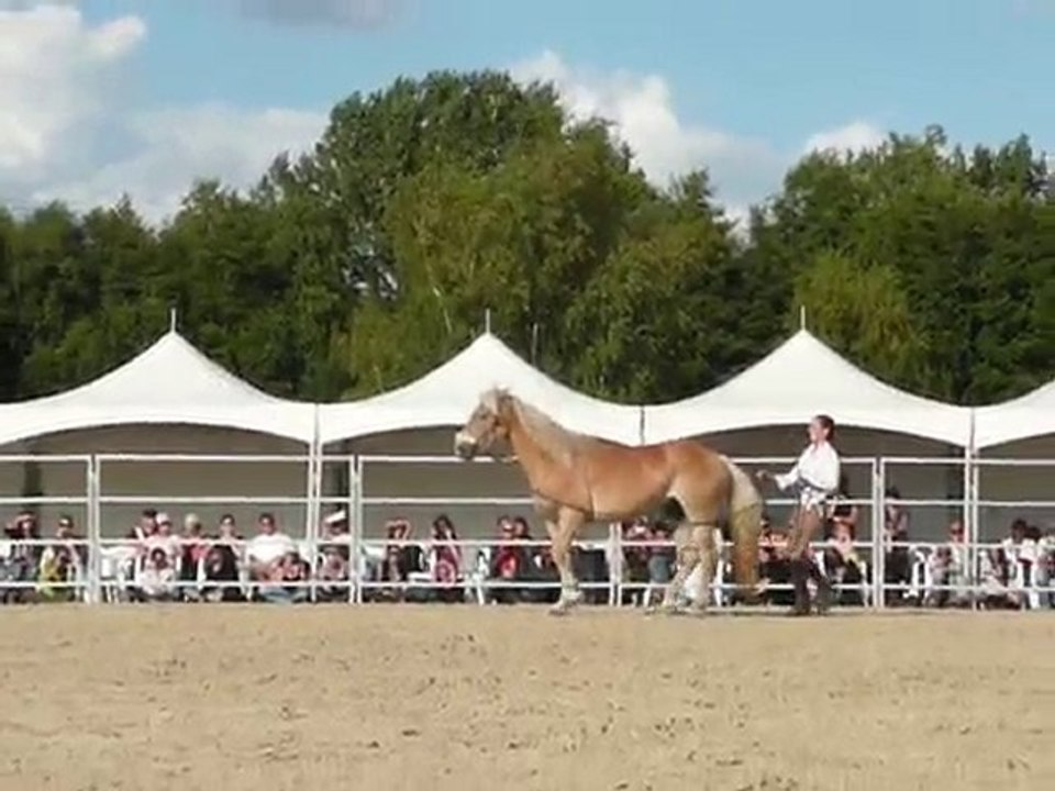 Pauline et Naïade - 11èmes RDV éthologiques à La Cense 3/11