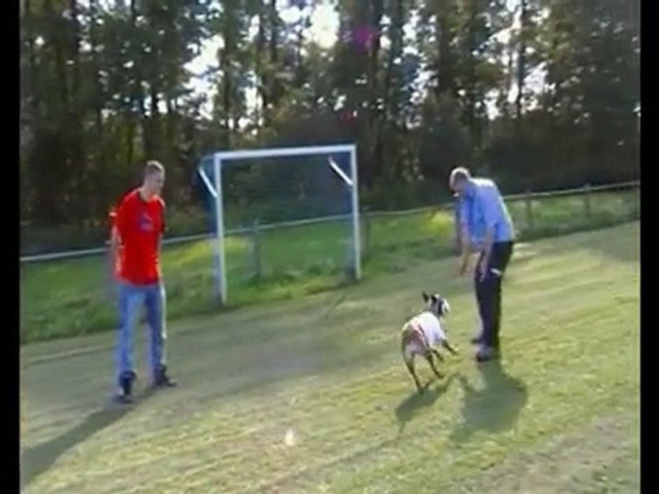 Vaska steht im Tor !