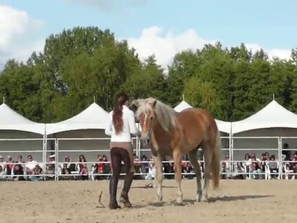 Pauline et Naiade - 11èmes RDV éthologiques à La Cense 5/11