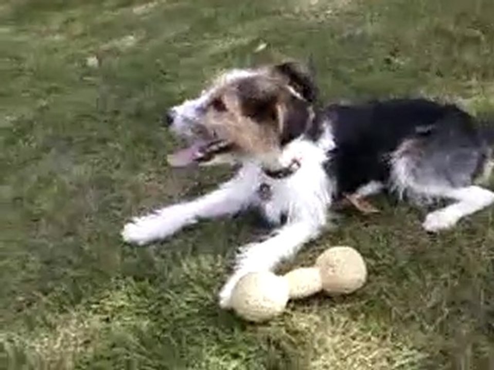 au parc