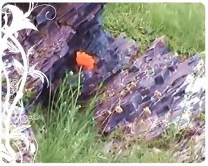 Ardahan, İkizdere Köyü