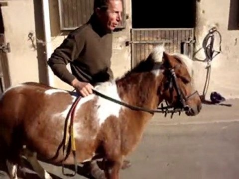 les chevaux du domaine de combelles !!!