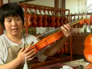 В Китае фермеры занялись изготовлением скрипок