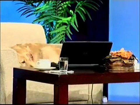 CANAN BAŞKAYA -TELLİ TURNAM