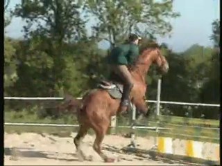 SYRUS travail maison SO