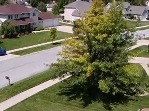 Homes for Sale - 10043 Northcote Ct - Saint John, IN 46373 -