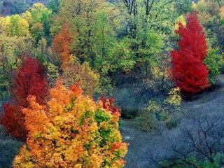 automne