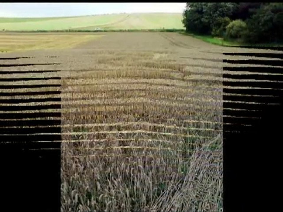 2 new crop circles in Wiltshire, UK - 26 September 2010