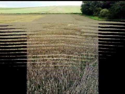 2 new crop circles in Wiltshire, UK - 26 September 2010