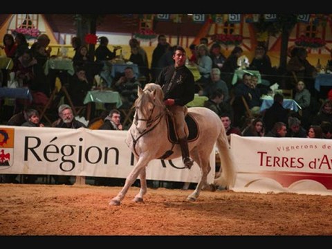 LORENO pure race espagnol