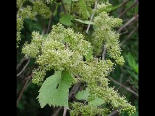 Patchwork - театр одного актёра Сергея Барчевского