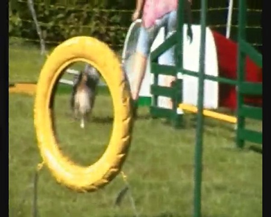 démo agility Cook Otahko
