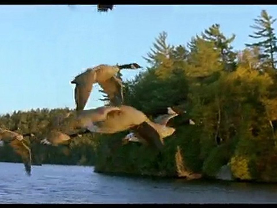 Jacques Perrin & Ledpux paradis "La Musique du Ciel"  Télé SPI