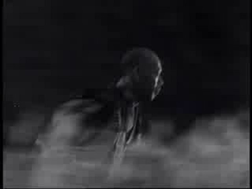 Seven Samurai, Akira Kurosawa (1954)