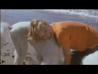 özdemir asaf - Lavinya