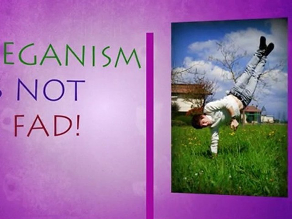 Vegan Frustrations On Vegan Mainstream Blog This Week 0906