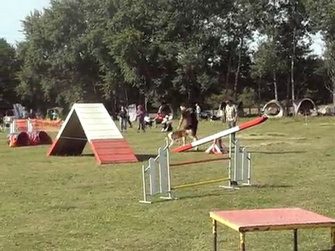 christal 2éme degré cdf australiens