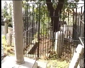 Yusuf Sinaneddin Efendi hazretleri