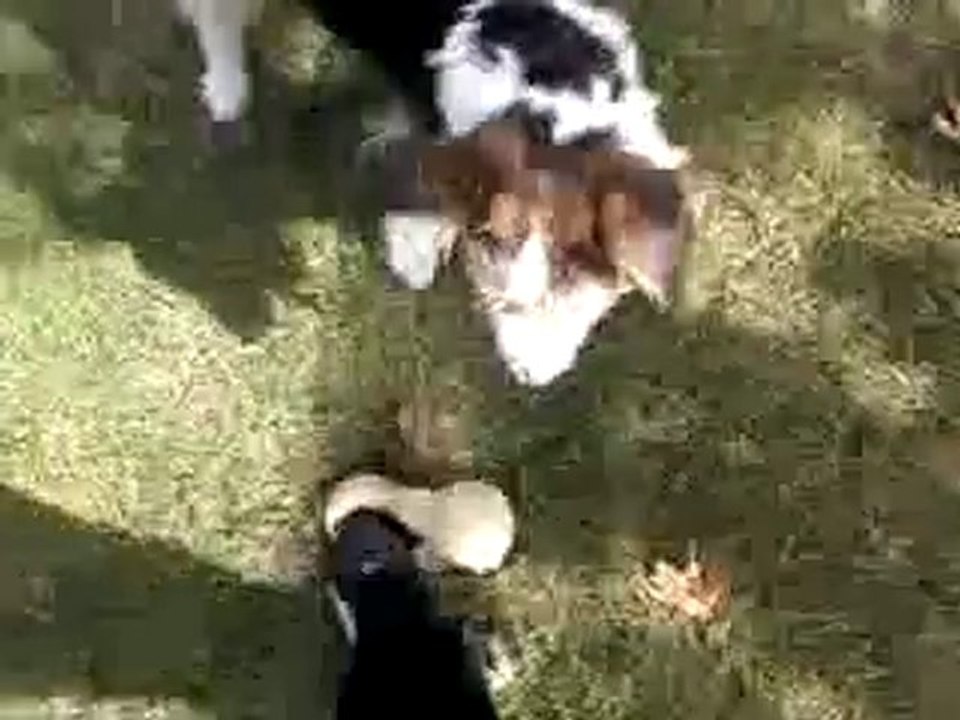 Vidéo-0010