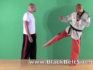 Karate Combat Techniques