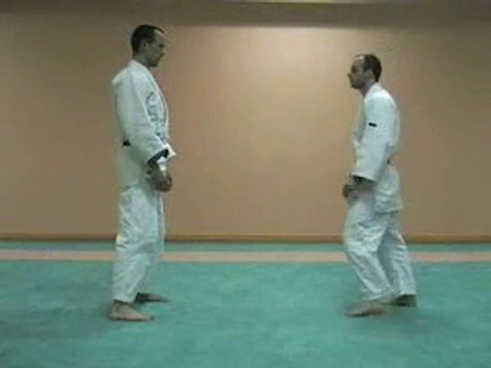 les 12 techniques du goshin jitsu