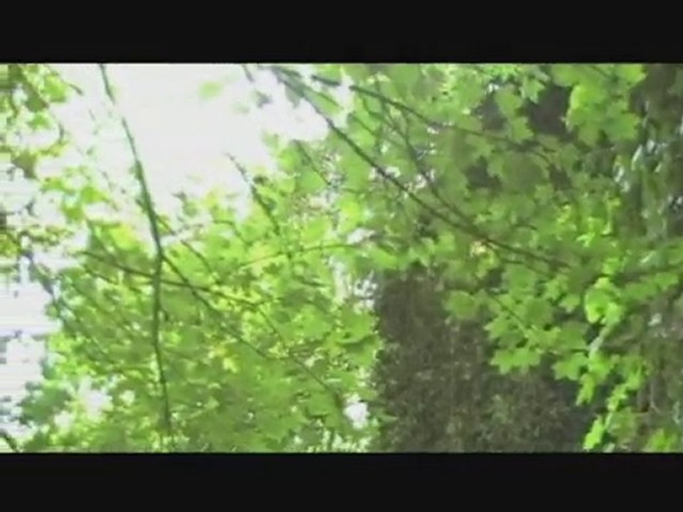Ruines la chapelle  la salle-le-roy saint martin d'auxigny