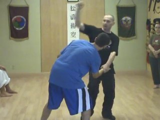 Joint Locks - Reality Based Self Defense System